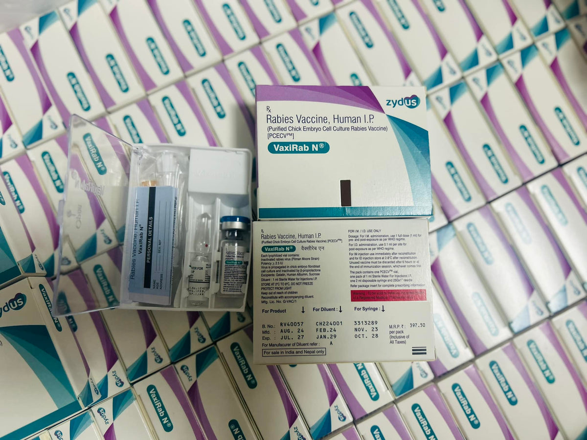 Vaxirab (Imported) – Rabies with Syringe – BrixMp